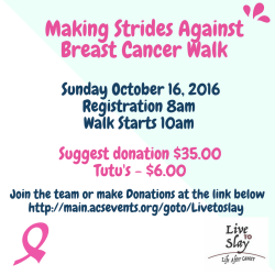making-strides-against-breast-cancer-walk-3